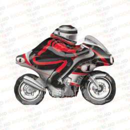 Motociclist-2 79x54cm 